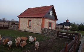 Agroturystyka Skrzypczyk